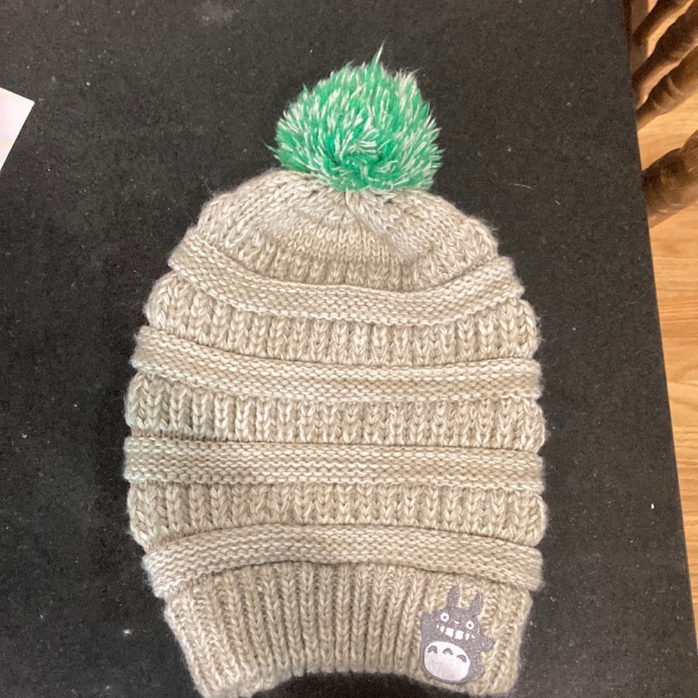 My neighbor totoro hat.